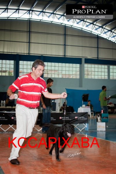 Clique sobre a foto para fechar